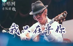 我只在乎你指彈譜_岡崎倫典_吉他獨(dú)奏譜_高清版