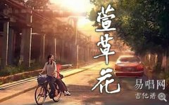 萱草花吉他譜_G調(diào)簡(jiǎn)單版_《你好李煥英》主題曲