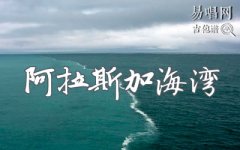 阿拉斯加海灣吉他譜_菲道爾藍心羽_C調(diào)彈唱譜