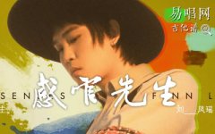 感官先生吉他譜_劉鳳瑤_C調原版_彈唱六線譜