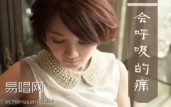 會呼吸的痛吉他譜 梁靜茹 G調六線譜 精華版