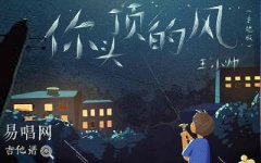 你頭頂?shù)娘L(fēng)吉他譜_王小帥_C調(diào)彈唱譜