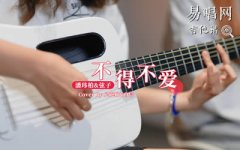 不得不愛(ài)吉他譜_潘瑋柏弦子_G調(diào)_彈唱