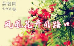 鳳凰花開的路口吉他譜_林志炫_G調(diào)簡單版_彈唱六