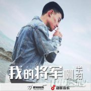 我的將軍啊吉他譜_半陽_C調六線譜（抖音歌曲）