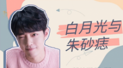 《白月光與朱砂痣》吉他譜_大籽_G調(diào)_彈唱六線譜