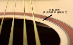 關(guān)于單板吉他