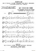 華爾茲（廣州YOYO原創(chuàng)長笛曲小提琴版）