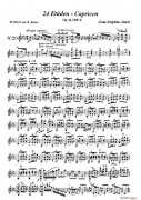 讓 德?tīng)柗?阿拉爾-12首小提琴隨想練習(xí)曲之20