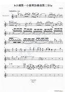 b小調(diào)小提琴協(xié)奏曲第二樂(lè)章