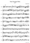 Neue Pizzicato Polka Op 449（新?lián)芟也柨ǎ? class=