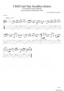 tommy emmanuel i still cant say goodbye（intro）（指彈吉他
