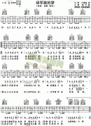 綠軍裝的夢(mèng)(楊柳、高歌)