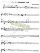 IV.O Du FrohlicheEcho Carol 小提琴