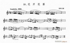 花開花落-小提琴