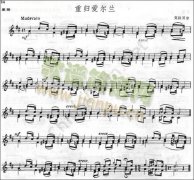 克拉爾《重歸愛爾蘭》
