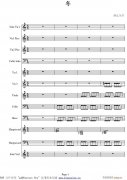 維瓦爾蒂 四季 冬 小提琴協(xié)奏曲1-8提琴