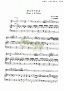D大調(diào)回旋曲 弦樂(lè)類(lèi) 小提琴