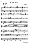 羽毛圓舞曲