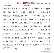 我心中的格?；ǎ娔X演奏曲）