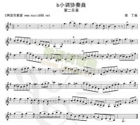 bB小調(diào)協(xié)奏曲-第二樂(lè)章(小提琴譜)