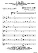 為生命喜悅小提琴譜（YOYO作曲原創(chuàng)長(zhǎng)笛曲）