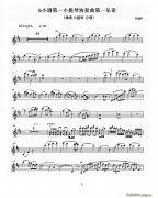 b小調(diào)第一小提琴協(xié)奏曲 第一樂章