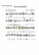 《花兒為什么這樣紅》主題曲 鍵盤類 電子琴