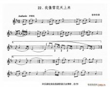 小提琴我像雪花天上來(lái)小提琴譜
