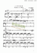 d小調(diào)變奏曲 弦樂(lè)類(lèi) 小提琴