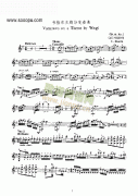 韋格爾主題變奏曲（獨(dú)奏） 弦樂(lè)類(lèi) 小提琴