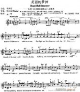電子琴-美麗的夢(mèng)神