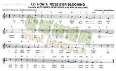 111.LO,HOW A ROSE E`ER BLOOMING