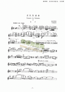 樂隊(duì)協(xié)奏曲—獨(dú)奏 弦樂類 小提琴