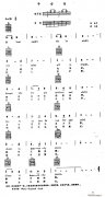 平安夜（電子琴吉他彈唱譜）