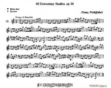 40首小提琴初級技巧練習曲之31