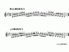 電子琴淺易練習(xí)六十八(降B大調(diào)及g小調(diào)音階練習(xí)
