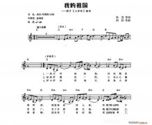 我的祖國(guó) 電子琴彈唱譜