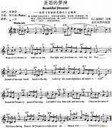 電子琴-美麗的夢(mèng)神 Beautiful Dreamer(《美麗的星期天
