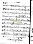 拉拉主題曲（中級(jí)班電子琴樂(lè)譜）