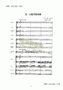 第一小提琴協(xié)奏曲 弦樂類 小提琴