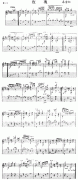 玫瑰(獨(dú)奏曲)
