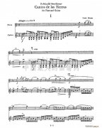 《Cantos sierras》吉他譜_ 山脈之歌長(zhǎng)笛_吉他