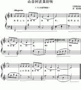 山谷回音真好聽（兒童鋼琴?gòu)棾? class=