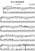 (奧)約翰.斯特勞斯：藍(lán)色多瑙河圓舞曲(全曲)