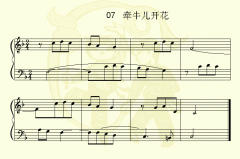 牽牛花兒開