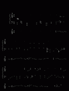 愛是最大權(quán)利-PINGPUNG