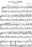 肖邦鋼琴小曲：Sostenuto(持續(xù)地)