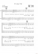It s my life（電吉他 雙吉他版）
