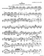梅爾茲-—韋伯主題變奏隨想曲 Op 50（古典吉他）